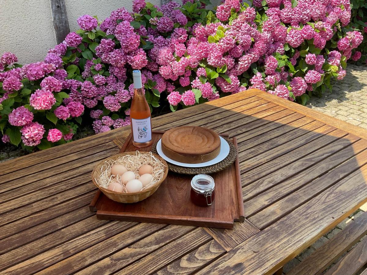 Le Clos Du Benestar Mauvezin-d'Armagnac エクステリア 写真